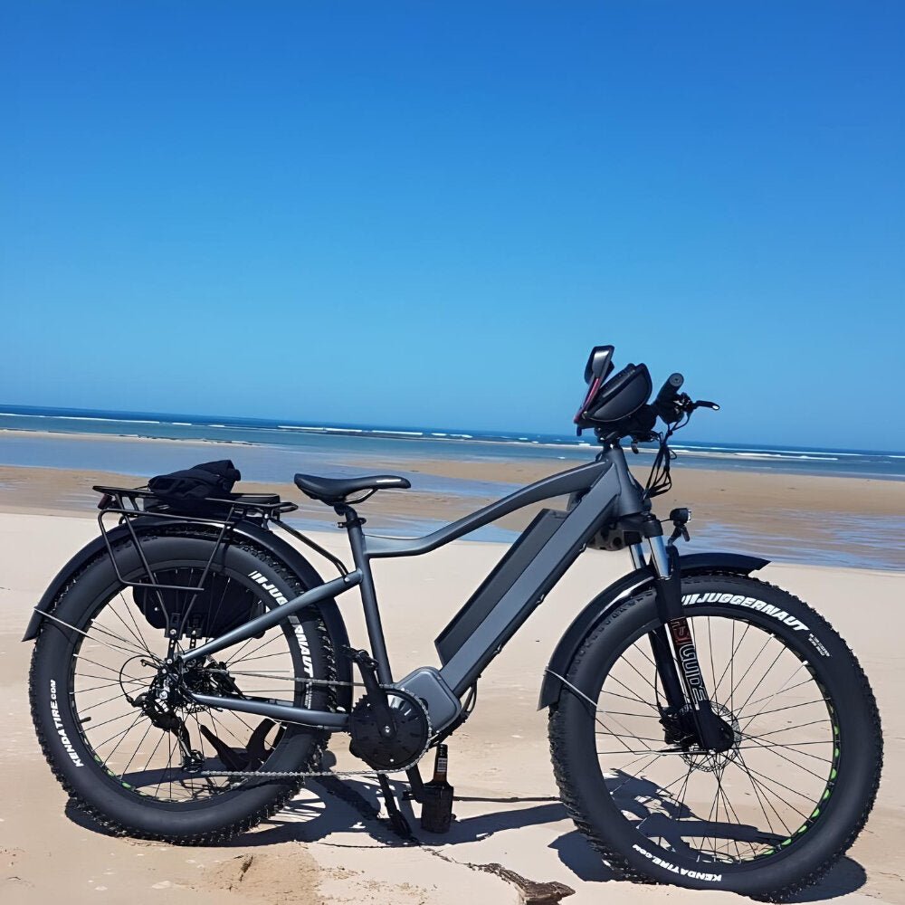 All-Weather Electric Bike