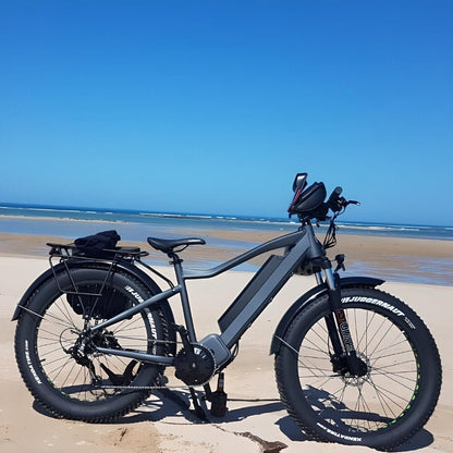 All-Weather Electric Bike