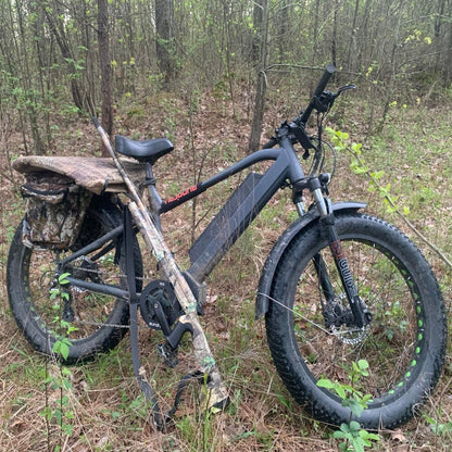 Winter-Snow Electric Bike