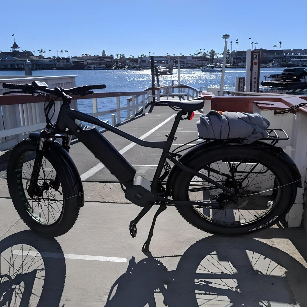 All-Seasons Electric Bike