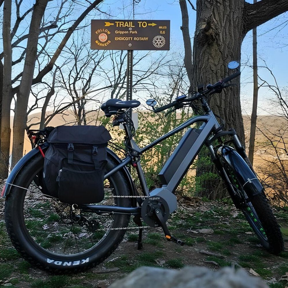Elite Electric Bike
