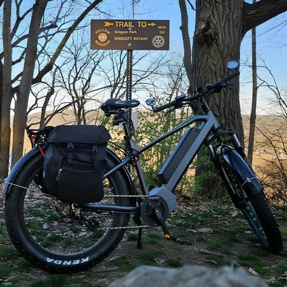Elite Electric Bike