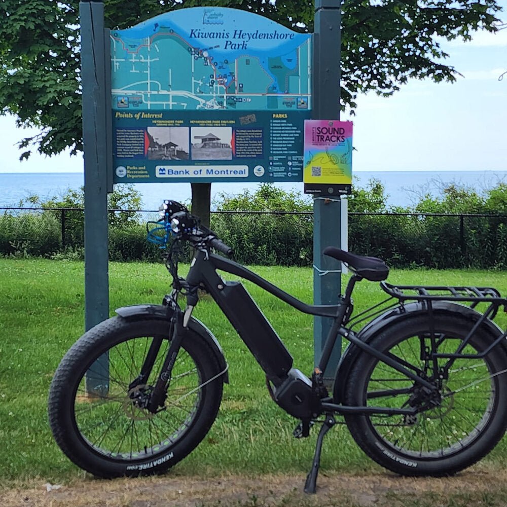 Premium Electric Bike