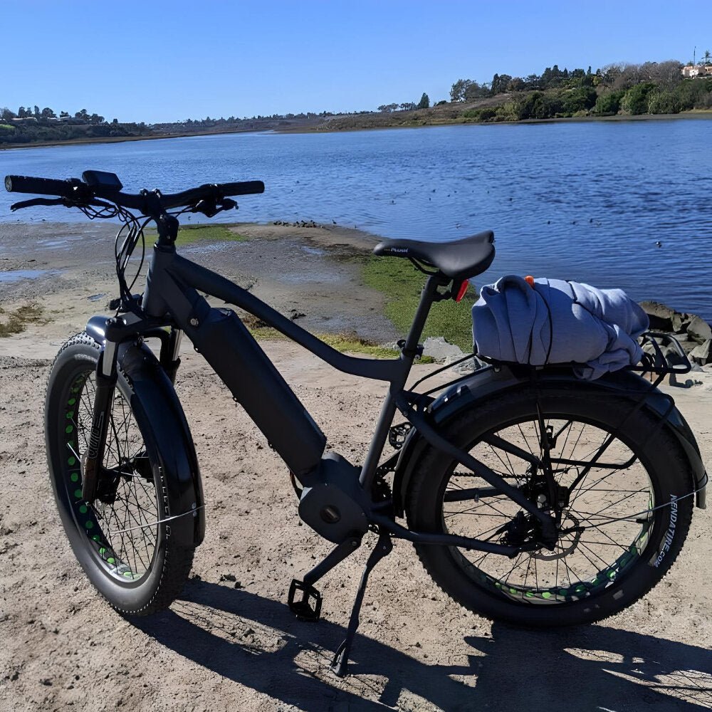 High Power Electric Bike