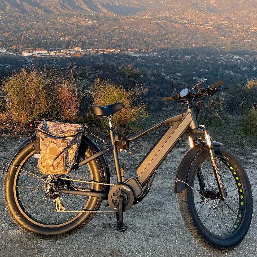 Top Shelf Electric Bike