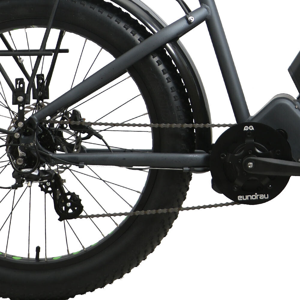 FAT-HD 1000W Mid-Drive 4inch Kenda Krusade Fat Tire 160Nm Torque E-Bike