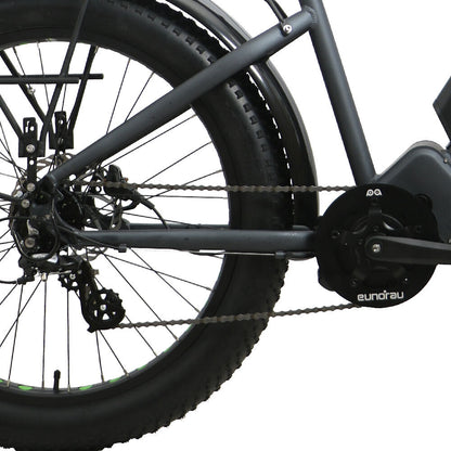 FAT-HD 1000W Mid-Drive 4inch Kenda Krusade Fat Tire 160Nm Torque E-Bike