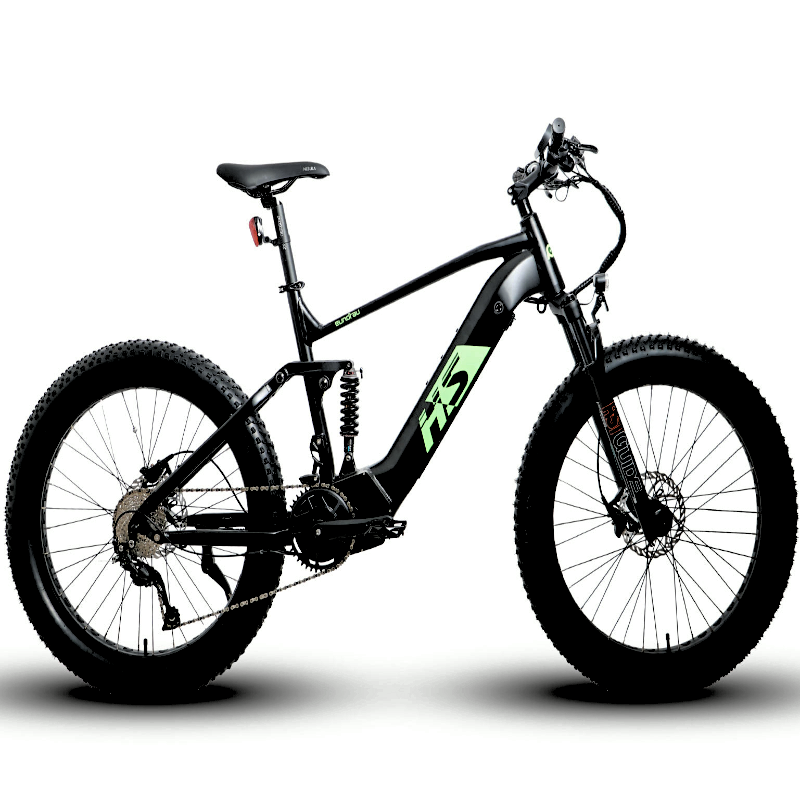 FAT-HS 19inch Full Suspension 160Nm Torque Mountain eBike Green Label