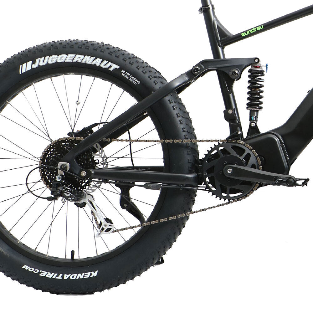 FAT-HS 19inch Full Suspension 160Nm Torque Mountain eBike Green Label