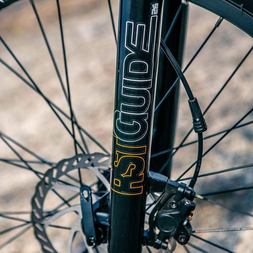 Shifter Model: Altus/Sunrace RDM91 