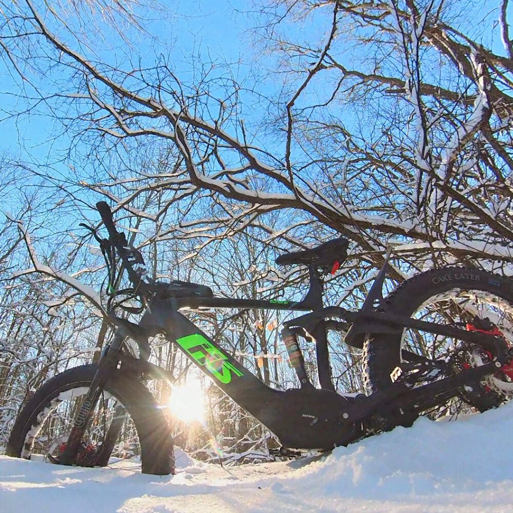 19 inch Frame: Wheelbase: 1300MM/51in