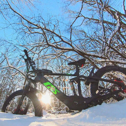 19 inch Frame: Wheelbase: 1300MM/51in