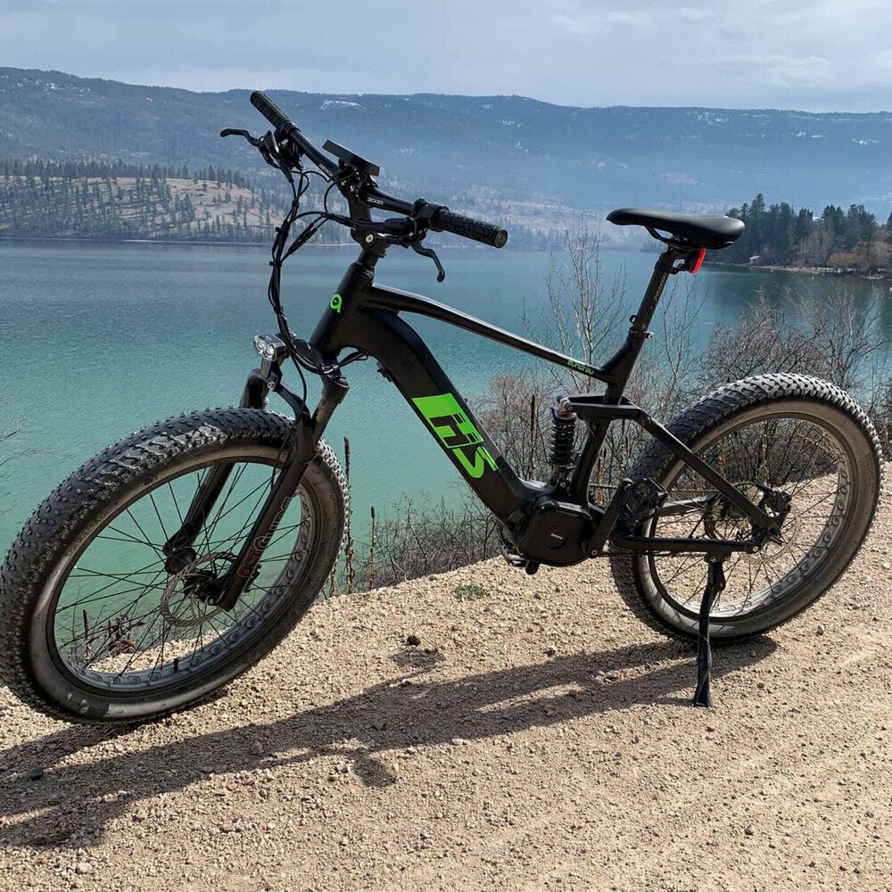 Mountain Electric Bike