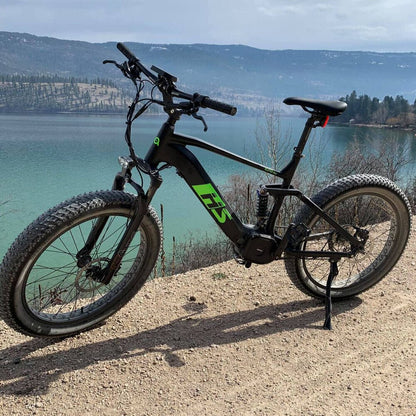 Mountain Electric Bike