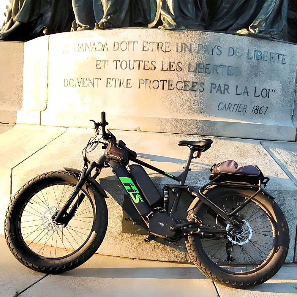 All-Seasons Electric Bike