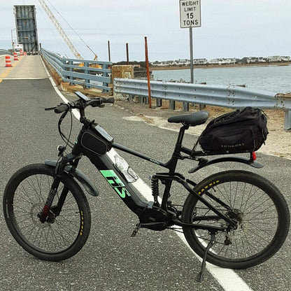 Winter-Snow Electric Bike