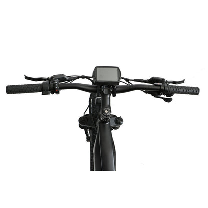 FAT-HS Mid-Drive Mountain eBike 160 Torque 4 inch Fat Tire