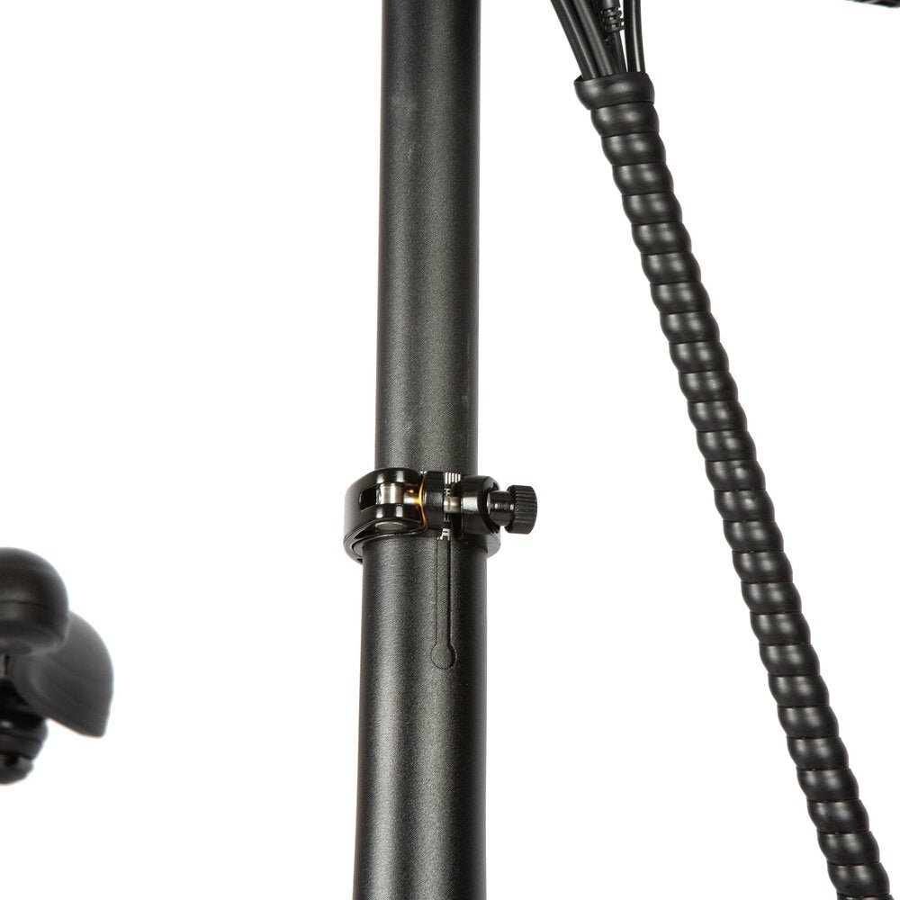 Handlebar: Adjustable stem (matte black)