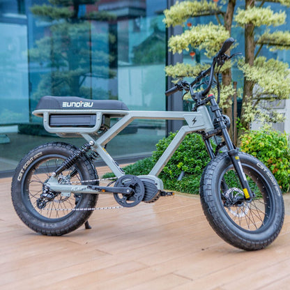 Fat ebike