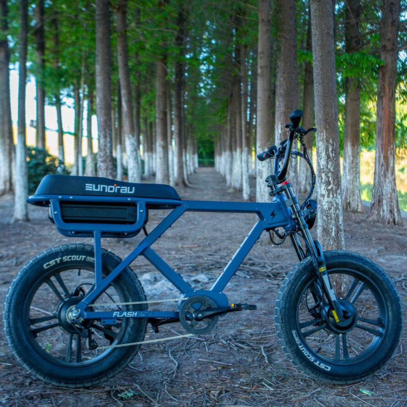 Trail eBike