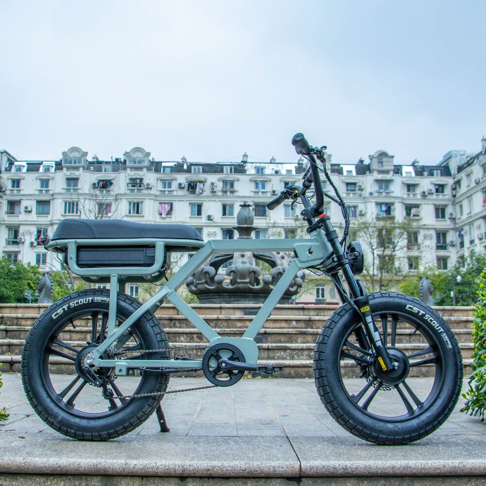 Extreme Torque Electric Bike