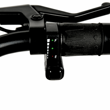 Close-up of an e-bike throttle and battery indicator on the handlebar, showing easy-to-read charge levels for convenient monitoring.