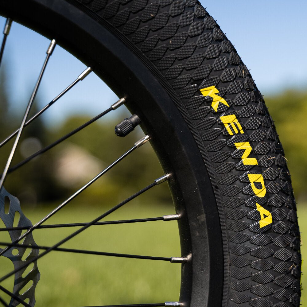 Warranty: 2-Year on motor