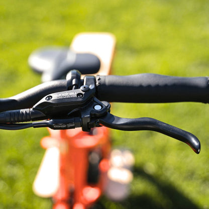 Warranty: 2-Year on battery 