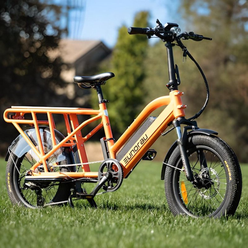Courier E-Bike