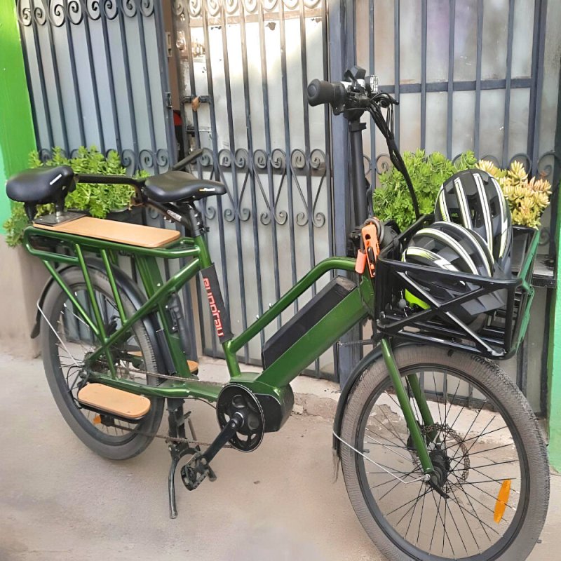 Delivery eBike