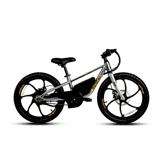 E-Kids Gray Electric Bike Eight Plus Speed Options 10/15/20MPH