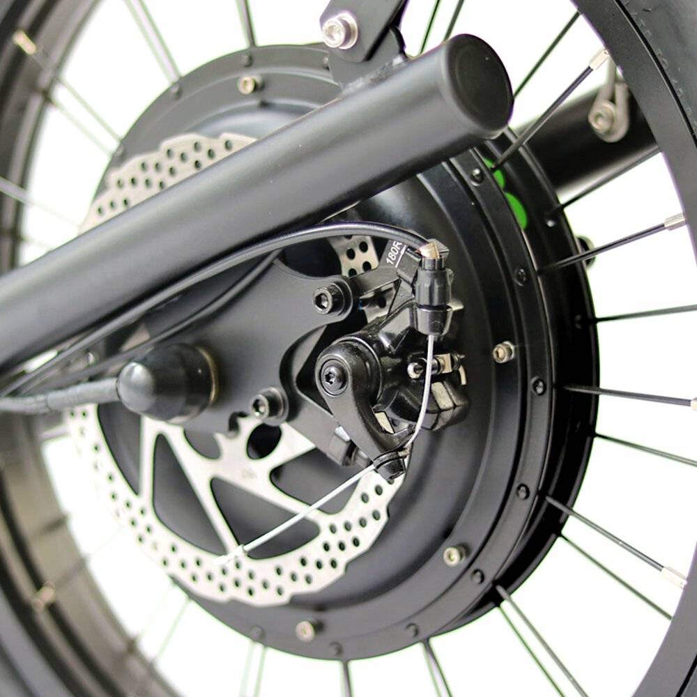 Rear Light: Taillight