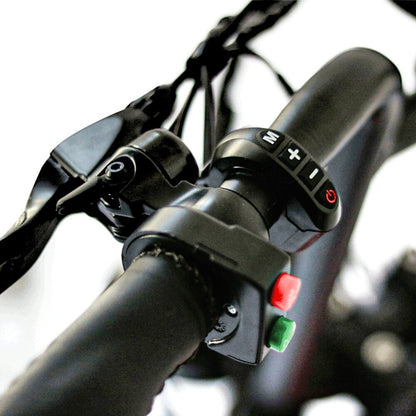 Warranty: 10-Year on the frame