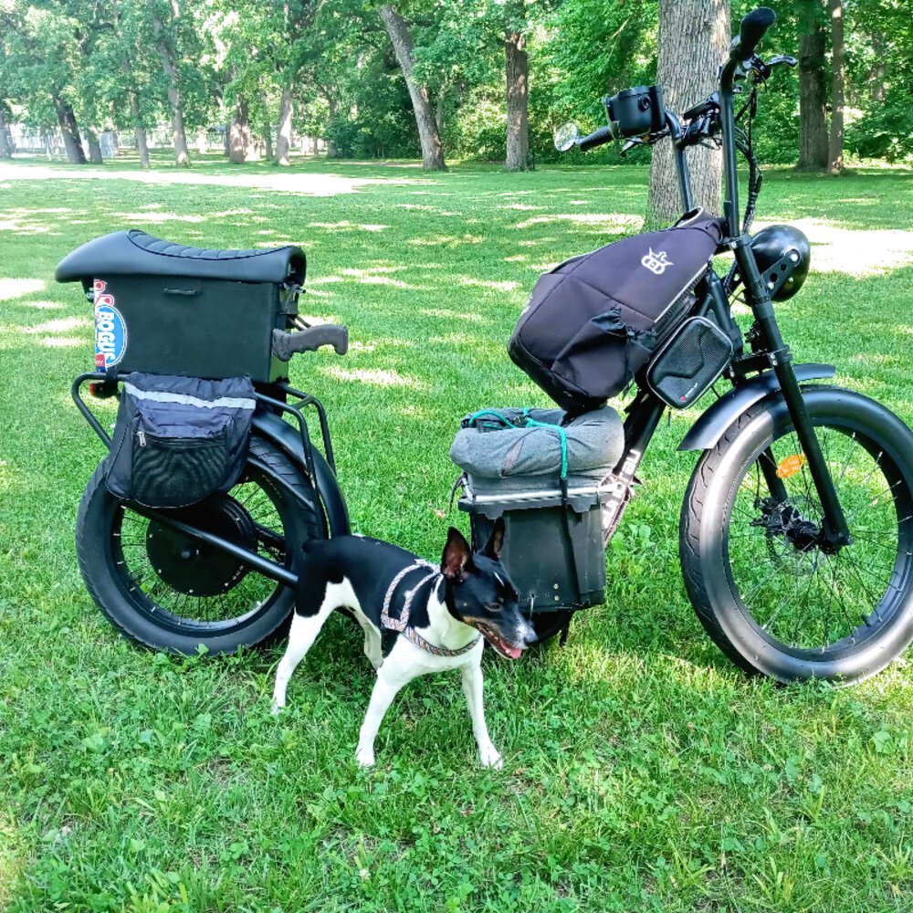 Battery Type:  Lithium Battery 