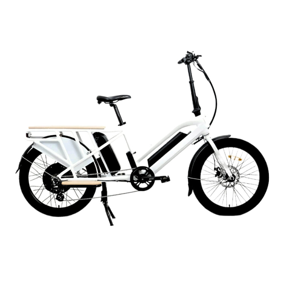 MAX-CARGO Delivery Electric Work Bike Electric Bike - Secondary View