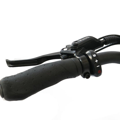 Rear Light: Integrated Brake Light