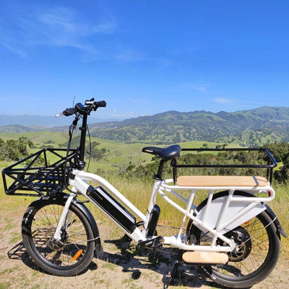 Total Length: 1972mm/77.6in