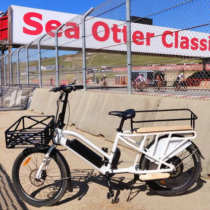 Cargo Electric Bike