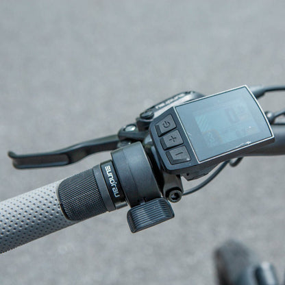 CHAIN STAY: 420mm/16.5in