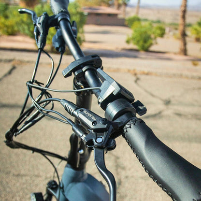 Box Dimensions: (cm) 148 L x 31 W x 79 H