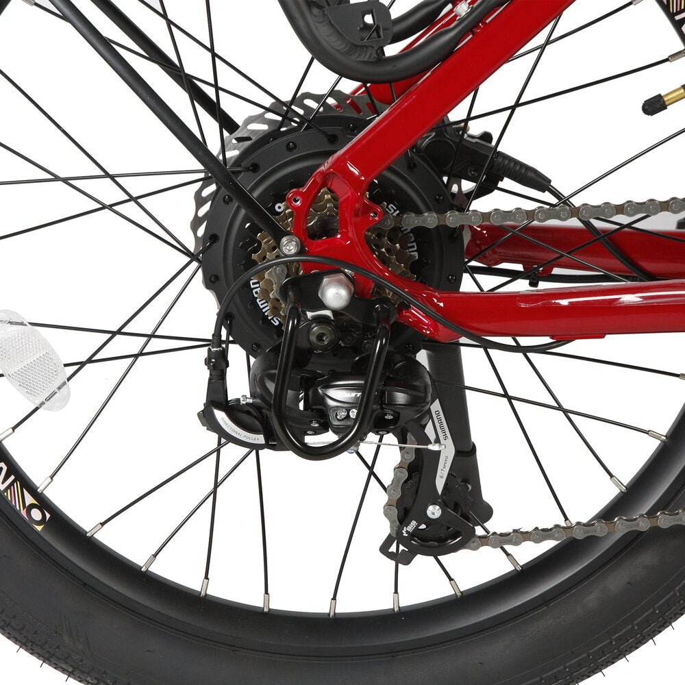 Crank: 170mm forged aluminum alloy with 42T chain-wheel