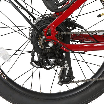 Crank: 170mm forged aluminum alloy with 42T chain-wheel