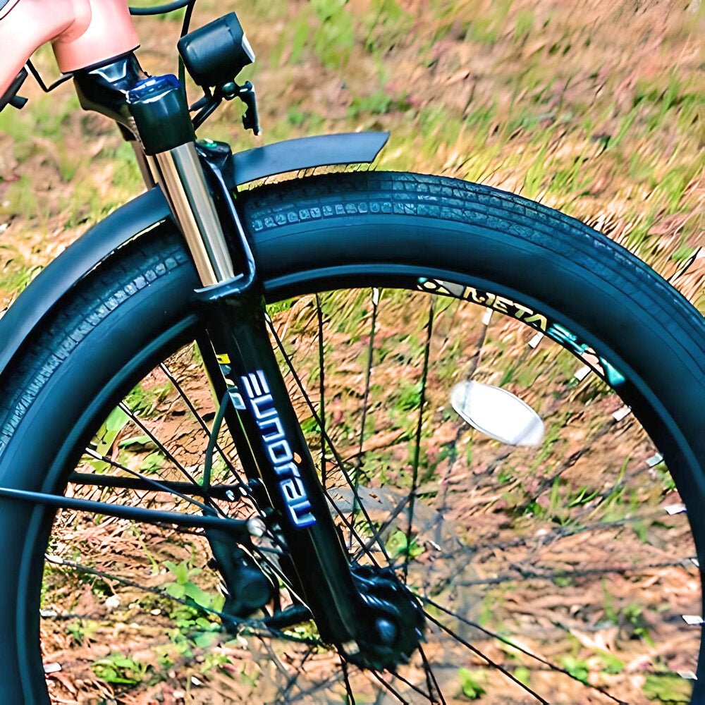 Spokes: Stainless Steel