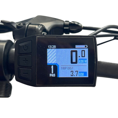 Rear Light: LED Light