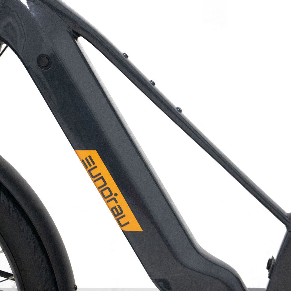 Warranty: 2-Year: Motor