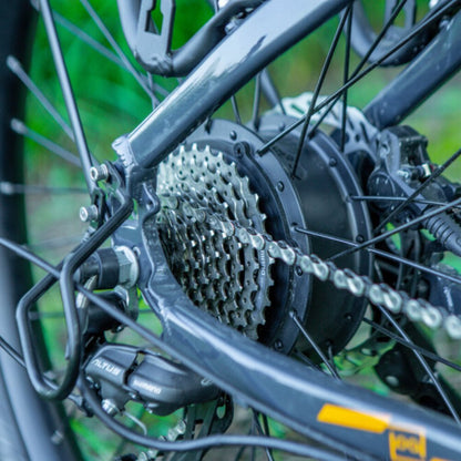 Eunorau App Displays Battery Life