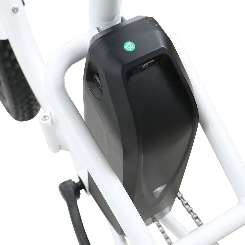 Controller: 48V / 20A