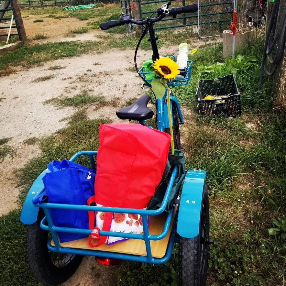 Handlebar height: 1230mm/48.4in