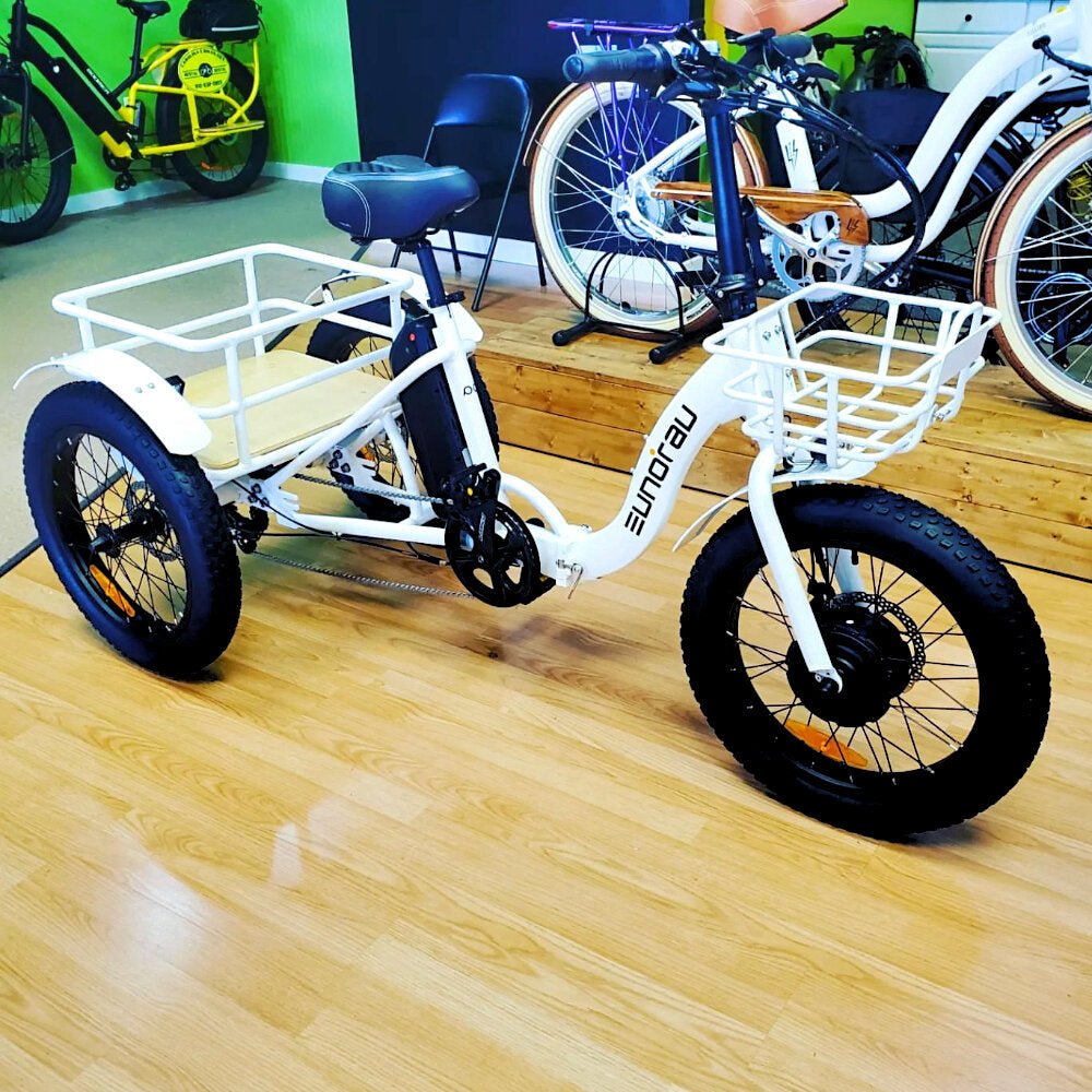 Cargo E-Trike