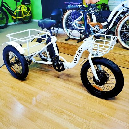 Cargo E-Trike